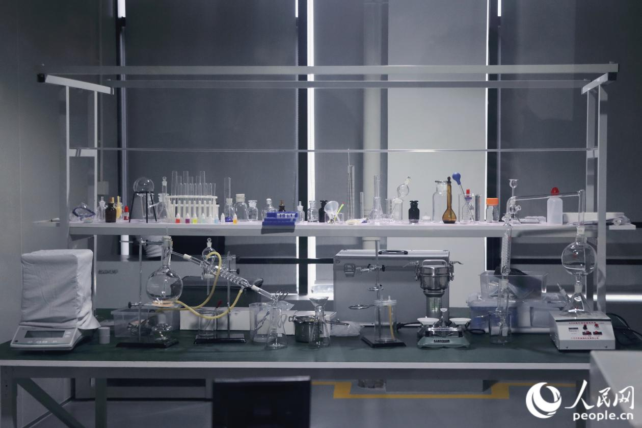 人民網(wǎng)關(guān)注永泰：一顆油茶果的“增值密碼”