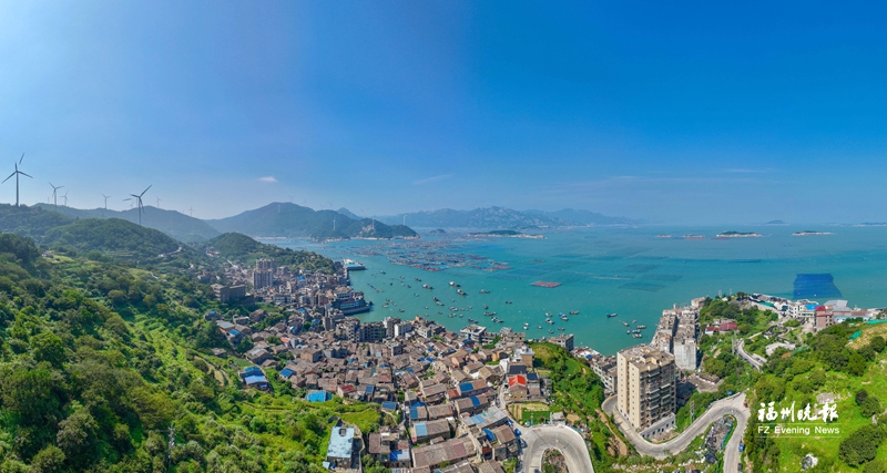 看，連江后灣村的“鮑”發力