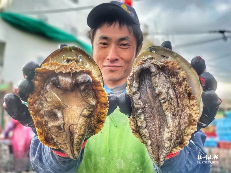 看，連江后灣村的“鮑”發力