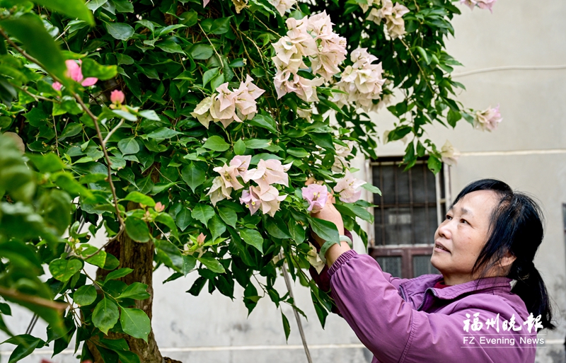 倉山霞湖村：名副其實的美