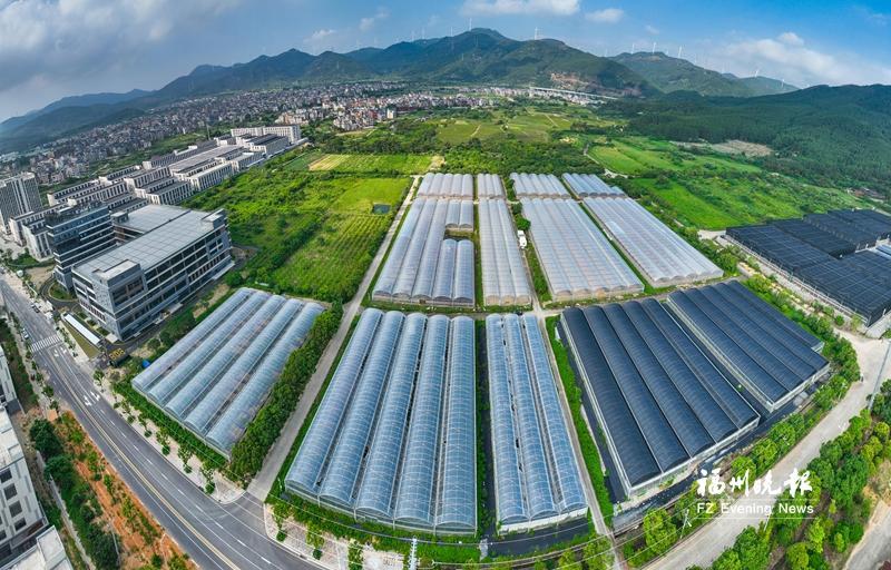 福清漈頭村：紅土地催開(kāi)振興之花